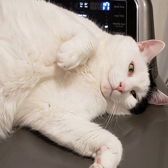 3 Skeins Frog Tree 100% Merino Wool Yarn Gray 137 Yds/1.75 Oz Each Knit Crochet - Picture 5 of 5